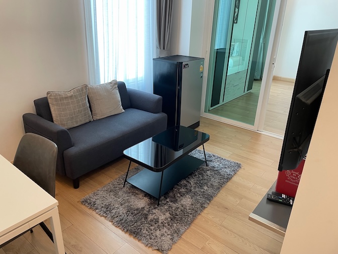 The Square 101 living room