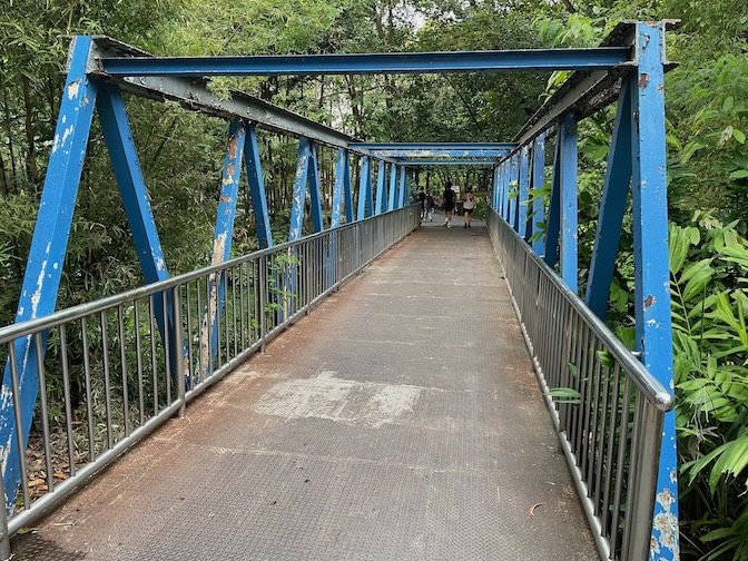 Queen Sirikit Park / Wachirabenchathat Park bridge