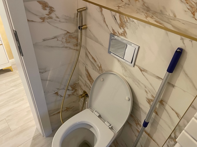 Bulevardul Dimitrie Cantemir apartment toilet and bum gun
