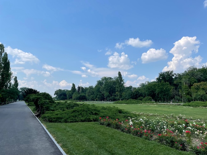 King Mihai I Park grass