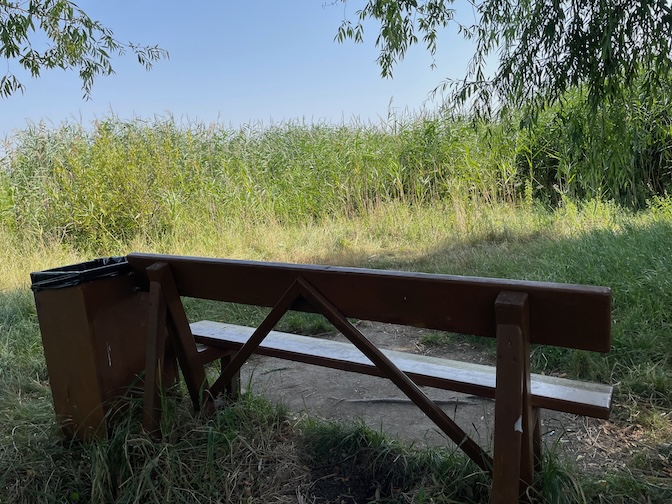 Văcărești Natural Park bench