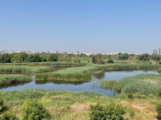 Văcărești Natural Park lake