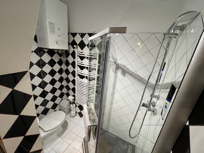 Apartment shower and toilet