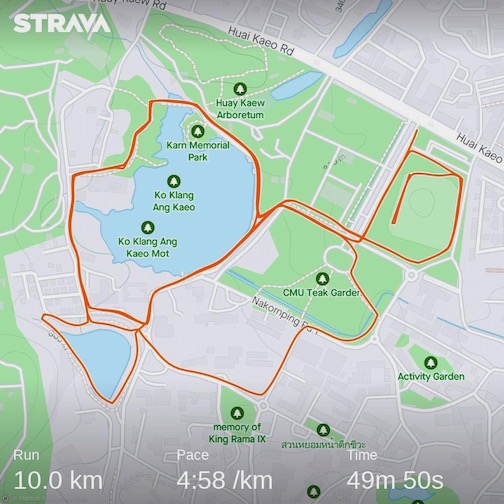 Strava map