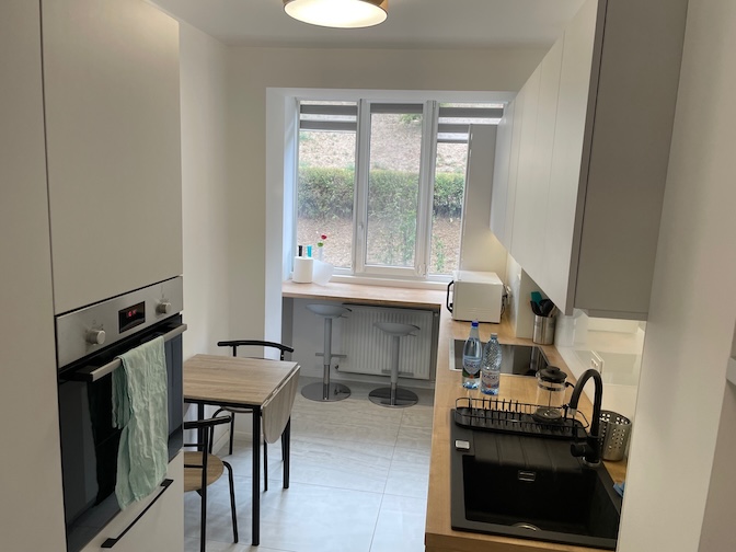 Strada General Dragalina apartment kitchen