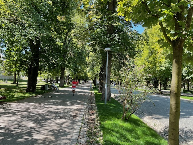 Parcul Central