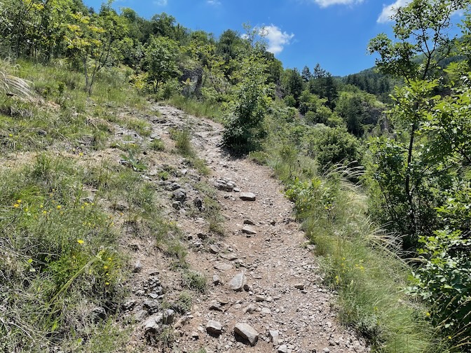 Vodno trail