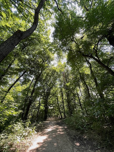 Borisova Gradina Park