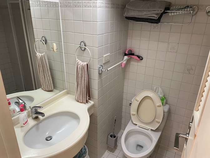 Xinyi Anhe apartment bathroom