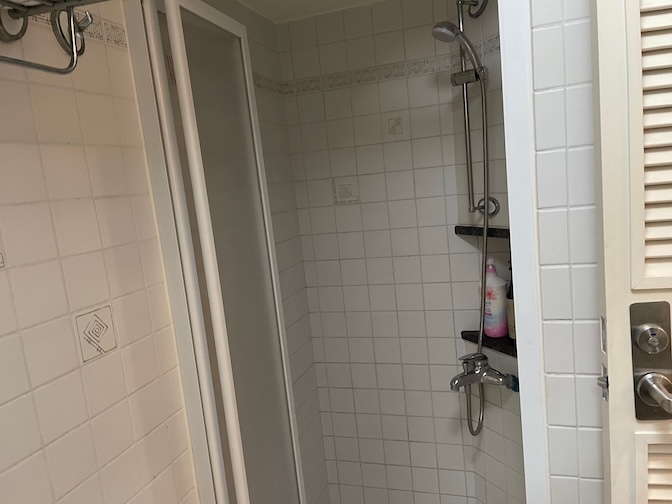 Xinyi Anhe apartment shower