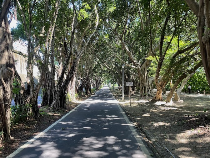 Banyan Green Tunnel