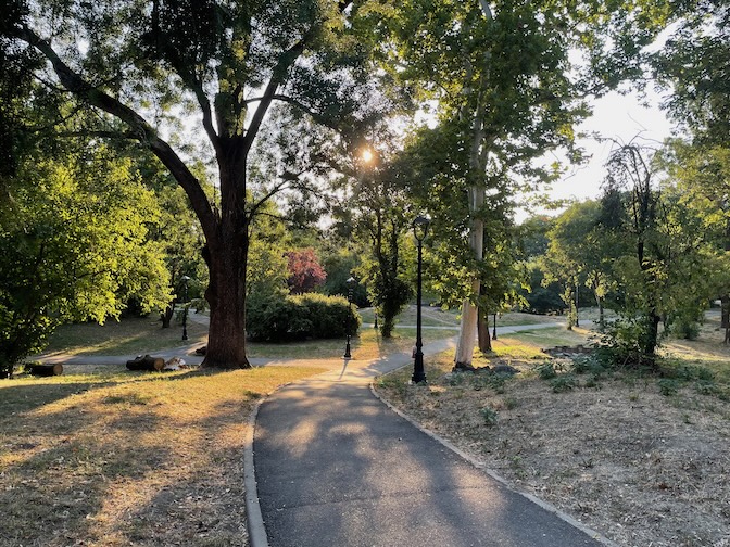 Botanic Park
