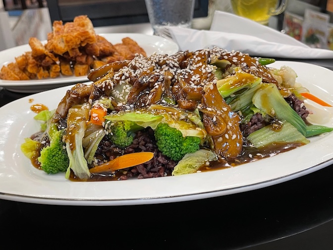 Vegan Center Cafe teriyaki duck bowl